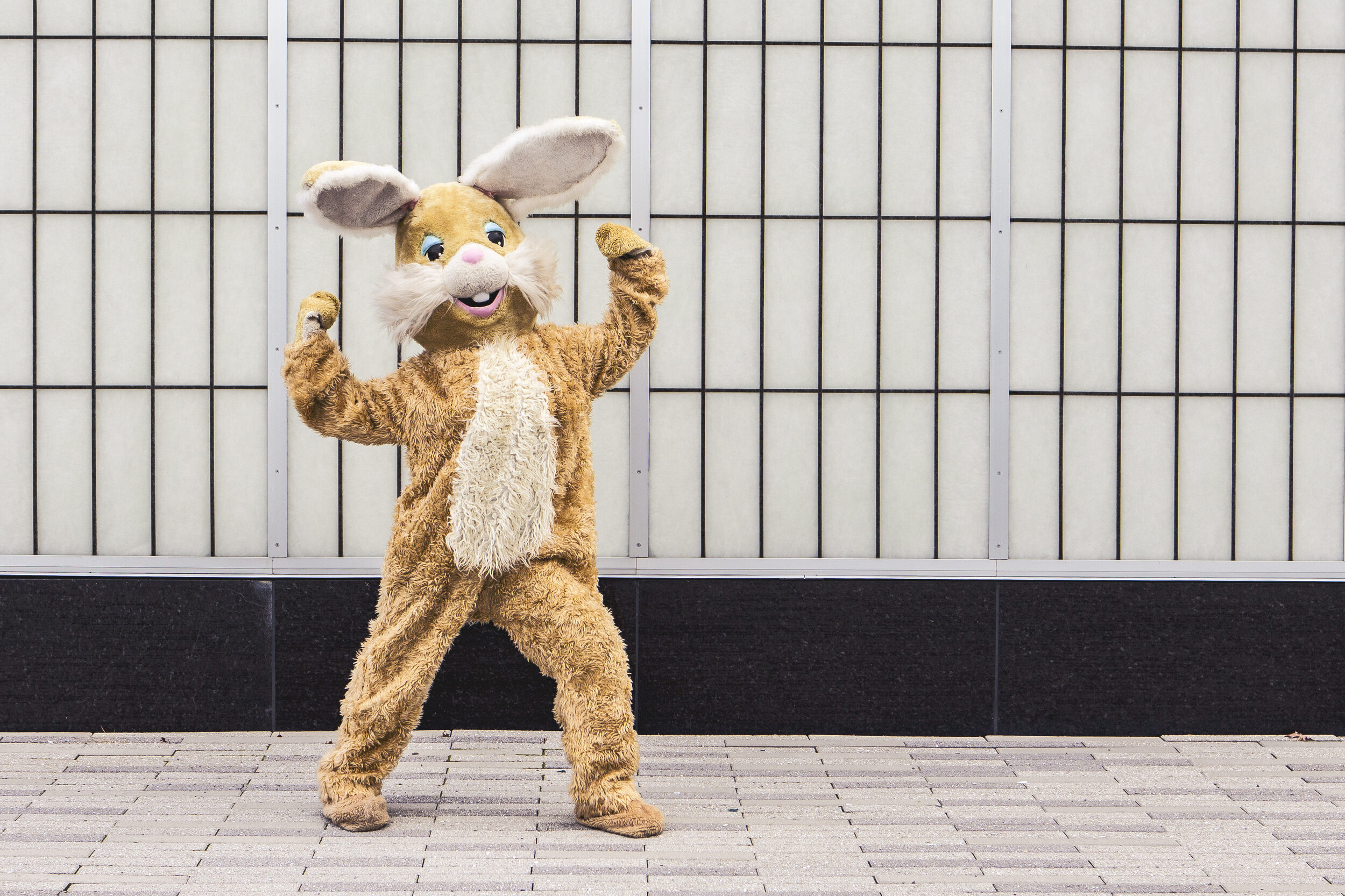 gratisography-super-bunny-man.jpg